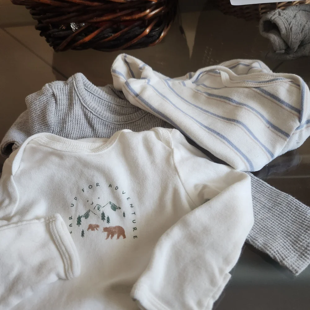 Carter's White and Gray Bodysuits Set